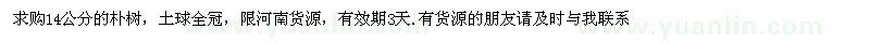求購14公分的樸樹