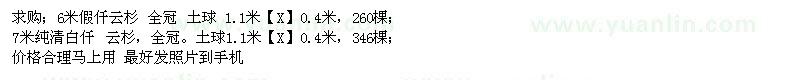 求購假仟云杉、純清白仟、云杉 
