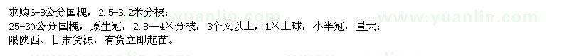 求購6-8公分國槐、25-30公分國槐