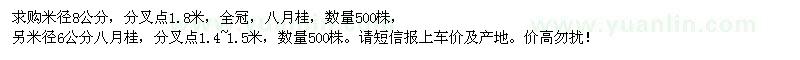 求購八月桂米徑8公分