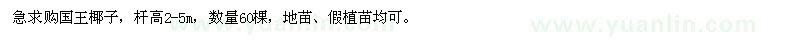 求購國王椰子60棵