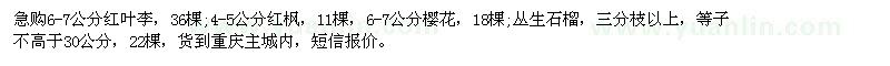 求購(gòu)紅葉李 紅楓 櫻花