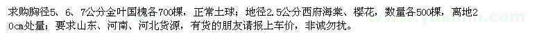 求購5-7公分金葉國槐、2.5公分西府海棠、櫻花