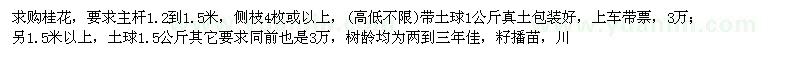求購桂花