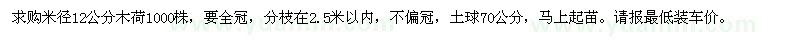 求購米徑12公分木荷1000株