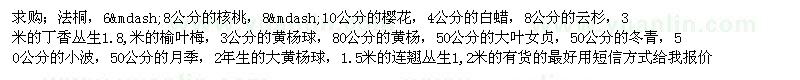 求購法桐 核桃苗 櫻花 白蠟 云杉 丁香 榆葉梅 黃楊球 黃楊 大葉 