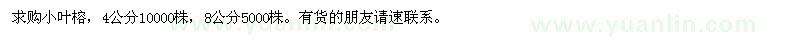 求購4公分、8公分小葉榕