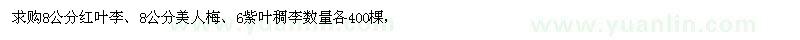 求購紫葉李、 美人梅、紫葉稠李