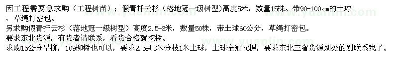 求購假青扦云杉、旱柳