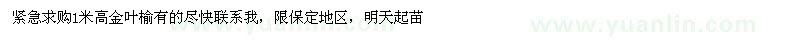求購1米高金葉榆 