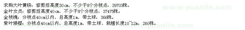 求購大葉黃楊、金葉女貞、金枝槐、紫葉矮櫻