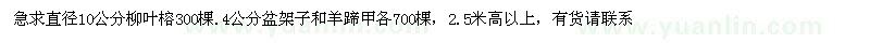 求購直徑10公分柳葉榕