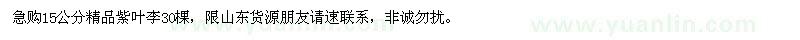 求購15公分精品紫葉李