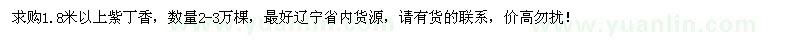 求購1.8米以上紫丁香2-3萬棵