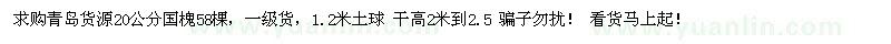 求購20公分國槐 
