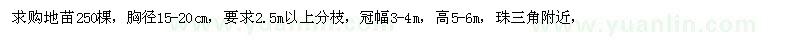求購秋楓地苗
