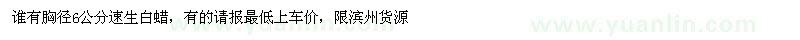 求購胸徑6公分速生白蠟