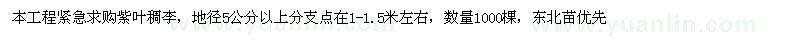 求購(gòu)紫葉稠李