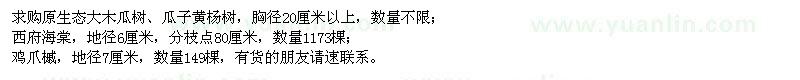 求購原生態(tài)大木瓜樹,瓜子黃楊,西府海棠,雞爪槭