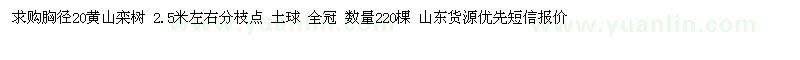 求購20黃山欒樹