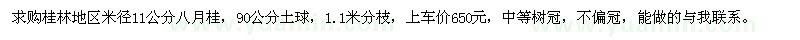 求購米徑11公分八月桂