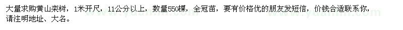 求購11公分以上黃山欒樹