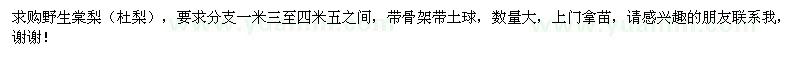 求購野生棠梨（杜梨）