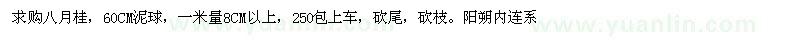 求購(gòu)八月桂，60CM泥球 
