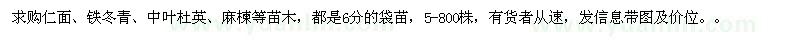 求購仁面、鐵冬青、中葉杜英、