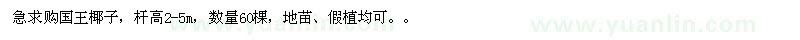 求購(gòu)國(guó)王椰子60棵