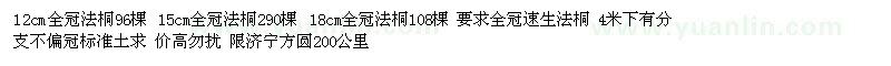 求購12cm全冠法桐15cm全冠法桐