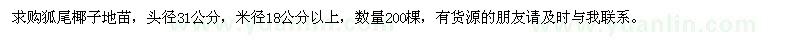求購(gòu)狐尾椰子地苗