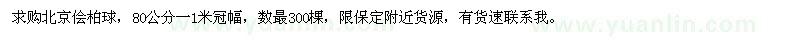 求購北京儈柏球，80公分-1米冠幅