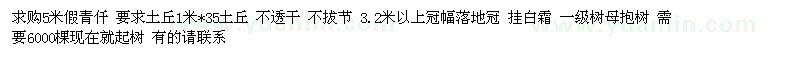 求購5米假青仟量大