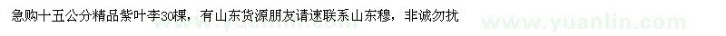 求購十五公分精品紫葉李30棵（山東濰坊市）