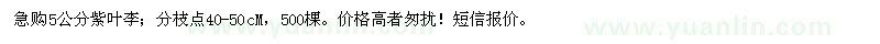 求購急購5公分紫葉李 500棵 