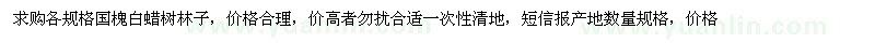 求購國槐白蠟樹林子