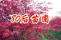 美國(guó)紅楓價(jià)格，美國(guó)紅楓苗木價(jià)格