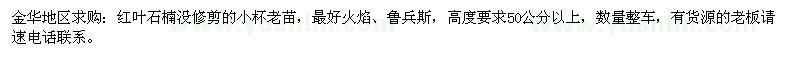 求購紅葉石楠沒修剪的小杯老苗