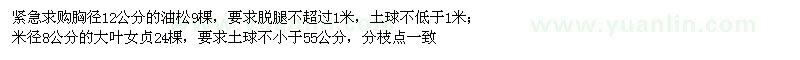 求購(gòu)胸徑12公分的油松、米徑8公分的大葉女貞