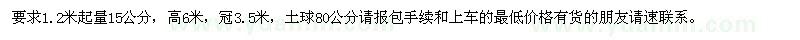 求購15公分的實(shí)生香樟800株