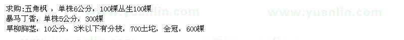 求購五角楓、暴馬丁香、旱柳 