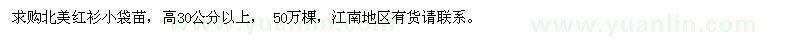 求購北美紅衫小袋苗