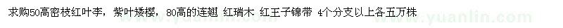 求購高密枝紅葉李、紫葉矮櫻、連翹 