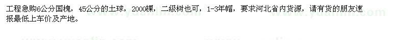 求購6公分國槐