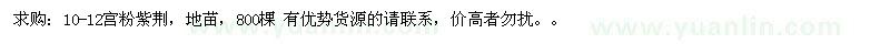 求購10-12宮粉紫荊地苗