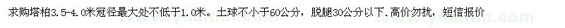 求購塔柏