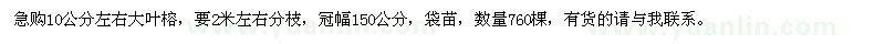 求購10公分左右大葉榕