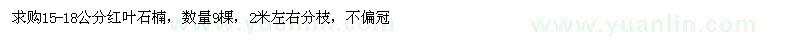 求購15-18公分紅葉石楠
