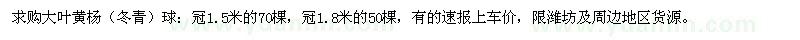 求購大葉黃楊（冬青）球